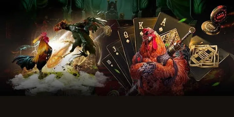 Chinh Phục Đá Gà GA28 Tại V999 Bỏ Túi Bí Mật Thắng Lớn 1 Chinh Phục Đá Gà GA28 Tại V999 Bỏ Túi Bí Mật Thắng Lớn