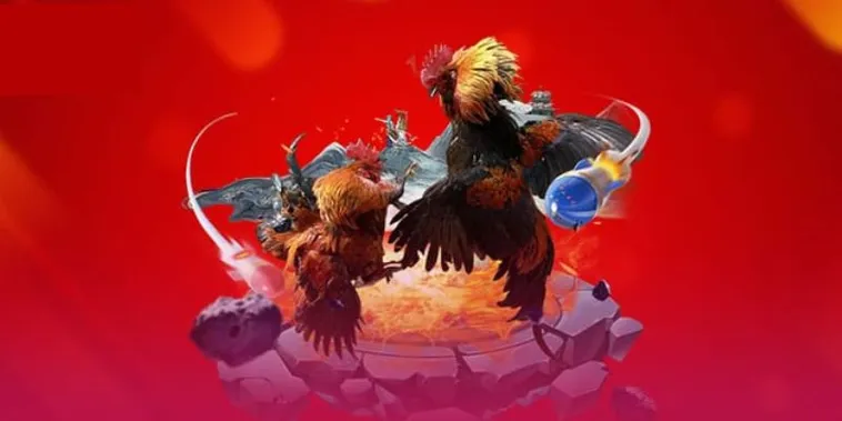 Đá Gà V999 Trực Tiếp Thomo Đặt Cược Thắng Lớn Ngay Hôm Nay